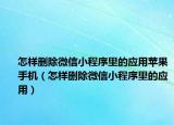 怎样删除微信小程序里的应用苹果手机（怎样删除微信小程序里的应用）
