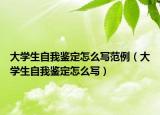 大学生自我鉴定怎么写范例（大学生自我鉴定怎么写）