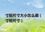 寸照尺寸大小怎么调（寸照尺寸）