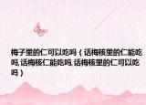 梅子里的仁可以吃吗（话梅核里的仁能吃吗,话梅核仁能吃吗,话梅核里的仁可以吃吗）