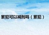 累犯可以减刑吗（累犯）
