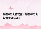 魅蓝6怎么格式化（魅蓝6t怎么设置字体样式）