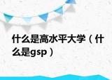 什么是高水平大学（什么是gsp）