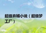 超级弃婿小说（超级梦工厂）