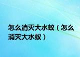 怎么消灭大水蚁（怎么消灭大水蚁）