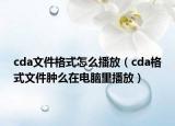 cda文件格式怎么播放（cda格式文件肿么在电脑里播放）