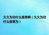 久久为功什么意思啊（久久为功什么意思为）