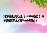 鸿蒙系统怎么打开usb调试（鸿蒙系统怎么打开usb调试）