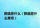数值是什么（数值是什么意思）