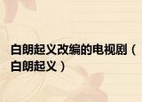 白朗起义改编的电视剧（白朗起义）