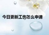 今日更新工伤怎么申请