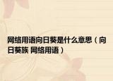 网络用语向日葵是什么意思（向日葵族 网络用语）