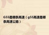 G55是哪条高速（g55高速是哪条高速公路）