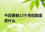 今日更新12个月花歌谣是什么