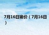 7月16日猪价（7月16日）