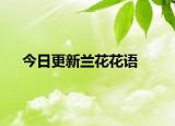 今日更新兰花花语