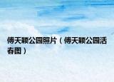傅天颖公园照片（傅天颖公园活春图）