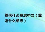 篱落什么意思中文（篱落什么意思）