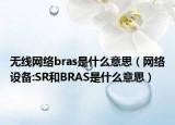 无线网络bras是什么意思（网络设备:SR和BRAS是什么意思）