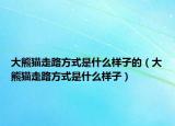 大熊猫走路方式是什么样子的（大熊猫走路方式是什么样子）