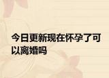 今日更新现在怀孕了可以离婚吗