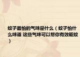 蚊子最怕的气味是什么（蚊子怕什么味道 这些气味可以帮你有效驱蚊）