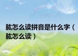 肱怎么读拼音是什么字（肱怎么读）