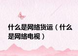什么是网络货运（什么是网络电视）