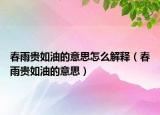 春雨贵如油的意思怎么解释（春雨贵如油的意思）