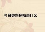 今日更新杨梅是什么