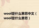 wool是什么意思中文（wool是什么意思）