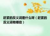 赶紧的反义词是什么呀（赶紧的反义词有哪些）