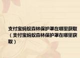 支付宝蚂蚁森林保护罩在哪里获取（支付宝蚂蚁森林保护罩在哪里获取）