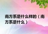 南方系是什么样的（南方系是什么）