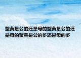 蟹黄是公的还是母的蟹黄是公的还是母的蟹黄是公的多还是母的多