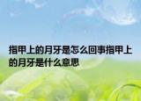 指甲上的月牙是怎么回事指甲上的月牙是什么意思
