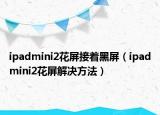 ipadmini2花屏接着黑屏（ipadmini2花屏解决方法）