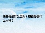 墨西哥是什么美称（墨西哥是什么人种）