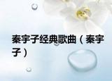 秦宇子经典歌曲（秦宇子）