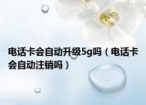电话卡会自动升级5g吗（电话卡会自动注销吗）