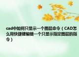 cad中如何只显示一个图层命令（CAD怎么用快捷键编辑一个只显示指定图层的指令）
