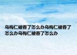 乌梅仁被吞了怎么办乌梅仁被吞了怎么办乌梅仁被吞了怎么办