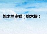 姚木兰离婚（姚木根）