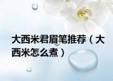 大西米君眉笔推荐（大西米怎么煮）