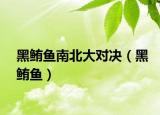 黑鲔鱼南北大对决（黑鲔鱼）