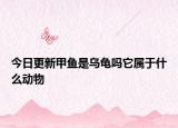 今日更新甲鱼是乌龟吗它属于什么动物