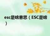 esc是啥意思（ESC是啥）
