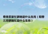 春来农家忙耕地是什么生肖（阳春三月耕地忙是什么生肖）
