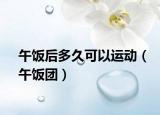 午饭后多久可以运动（午饭团）