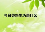 今日更新生巧是什么